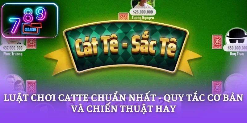 Luật Chơi Catte Chuẩn Nhất - Quy Tắc Cơ Bản Và Chiến Thuật Hay