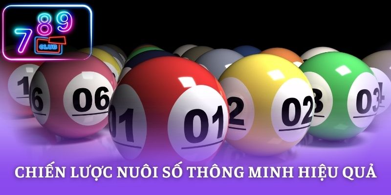 Chiến lược nuôi số thông minh hiệu quả