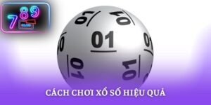 Cách Chơi Xổ Số Hiệu Quả - Tư Duy Của Chuyên Gia Thắng Cược