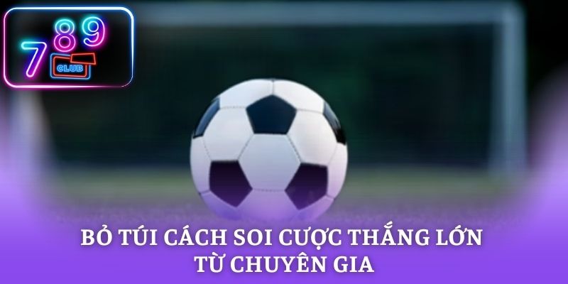 Bỏ túi cách soi cược thắng lớn từ chuyên gia giải trí