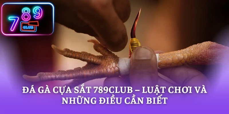 Đá Gà Cựa Sắt 789CLUB – Luật Chơi Và Những Điều Cần Biết
