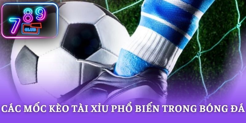 Các mốc kèo tài xỉu phổ biến trong bóng đá