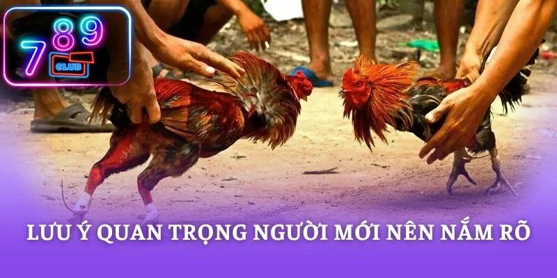 Lưu ý quan trọng người mới nên nắm rõ