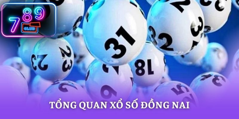 Tổng quan xổ số Đồng Nai cùng lịch quay chi tiết